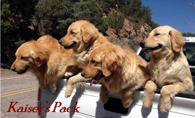Kaiser's Pack, by Bensiamin Kaiser's Pack, by Bensiamin
