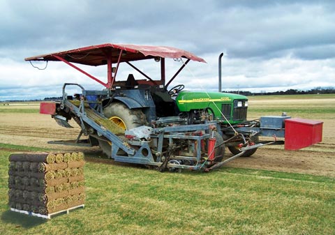 Singletrack Mind - Turfed Out: Turf Cutter / Sod Cutter Singletrack Mind - Turfed Out: Turf Cutter / Sod Cutter